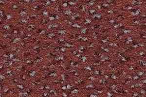 Ковролин Balsan Zenith Roll 735 фото  | FLOORDEALER